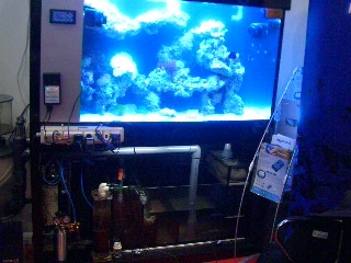 remote controlled aquarium